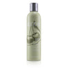ABBA Gentle Shampoo Size: 236ml/8oz