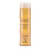 ALTERNA Bamboo Volume Abundant Volume Shampoo Size: 250ml/8.5oz