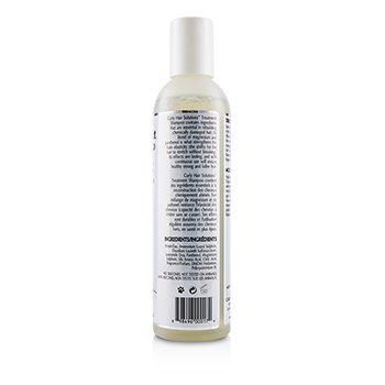 CURLY HAIR SOLUTION Treatment Shampoo Size: 240ml/8oz