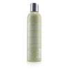 ABBA Gentle Shampoo Size: 236ml/8oz